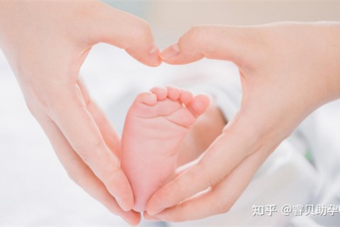http://chongqing.51dzb.net/post/188.html|重庆新闻中心