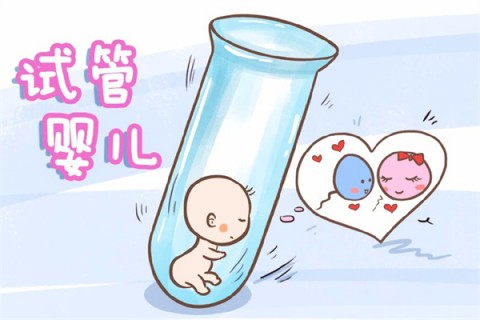 http://chongqing.51dzb.net/post/212.html|重庆新闻中心